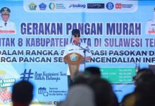 Gubernur Sultra Hadirkan Gerakan Pangan Murah Serentak di Delapan Kabupaten/Kota