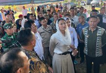 Wamendag Dyah Roro Esti Tinjau Pasar Guali Muna Barat, Terima Proposal Revitalisasi dari Bupati Darwin
