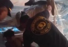 Pria Ini Nekat Curi Sapi karena Kecanduan Narkoba