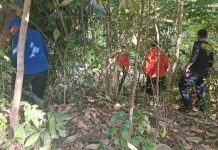 Tim SAR Belum Temukan Korban Hilang di Kebun di Kecamatan Wiwirano
