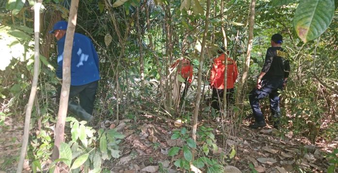 Tim SAR gabungan belum menemukan keberadaan korban yang dilaporkan hilang di kebun Desa Pondoa Kecamatan Wiwirano, Konawe Utara.