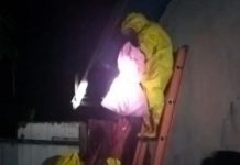Petugas Damkar Kendari Evakusi Sarang Tawon di Atap Rumah Warga.