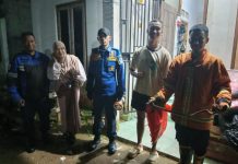 Damkar Kendari Evakuasi Ular Piton di Rumah Warga Hanya 7 Menit
