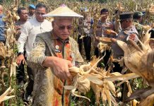 Wakili Gubernur, Sekda Sultra Serahkan Pupuk dan Bibit pada Panen Raya Nasional Polri