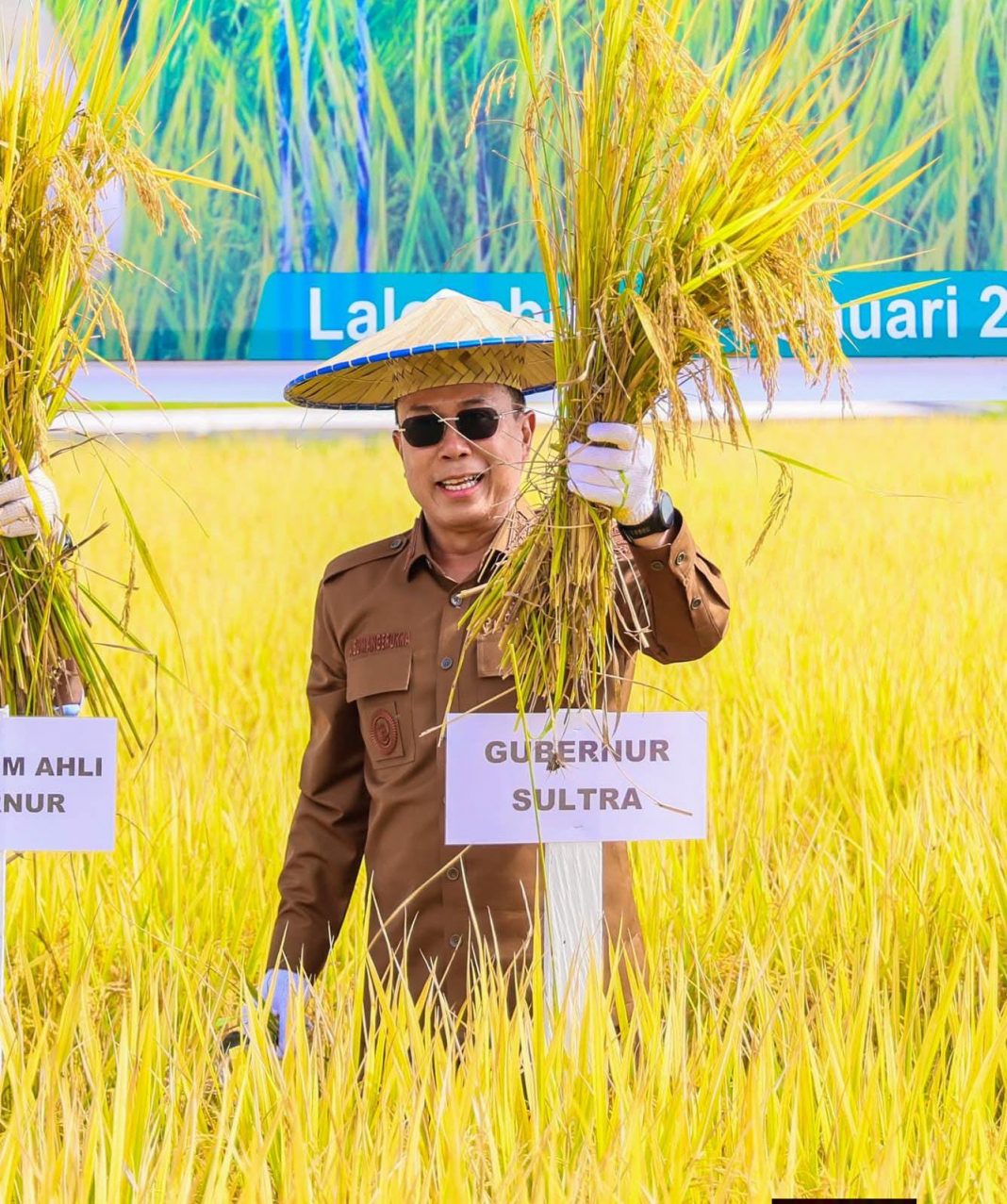 Pemprov Perkuat Program Benih Mandiri Lewat Pembagian Benih Padi “Sanggoleo Sultra”