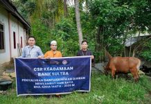 Bank Sultra Tebar 23 Sapi Kurban ke Seluruh Sultra