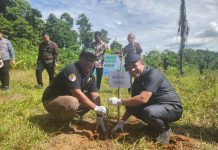 Dari Pakaian, Buku hingga 29.000 Pohon, PNM Perluas Makna Pemberdayaan Masyarakat Akar Rumput