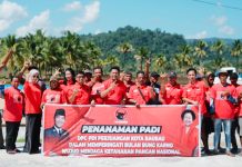 Tanam Padi di Bulan Bung Karno, PDI Perjuangan Baubau Perkuat Gerakan Swasembada Beras