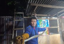 Ular Sanca Dievakuasi Petugas Damkar Kendari Diduga Hendak Memangsa Ayam