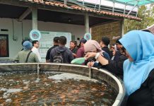 Desa Wisata Pentingsari Tawarkan Wisata Berbasis Pengalaman