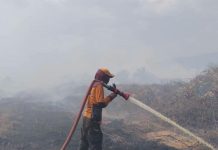 Dua Titik Hutan dan Lahan Masih Terbakar, Pemkab Koltim Kerahkan Tim Gabungan