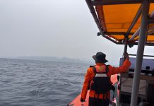 Penumpang Kapal Pelni KM Nggapulu Rute Bitung-Jakarta Jatuh di Perairan Wawonii